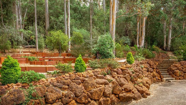 A garden with a stone wall, wooden steps, and various plants.