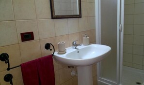 Regadera, secadora de cabello, bidet, toallas 
