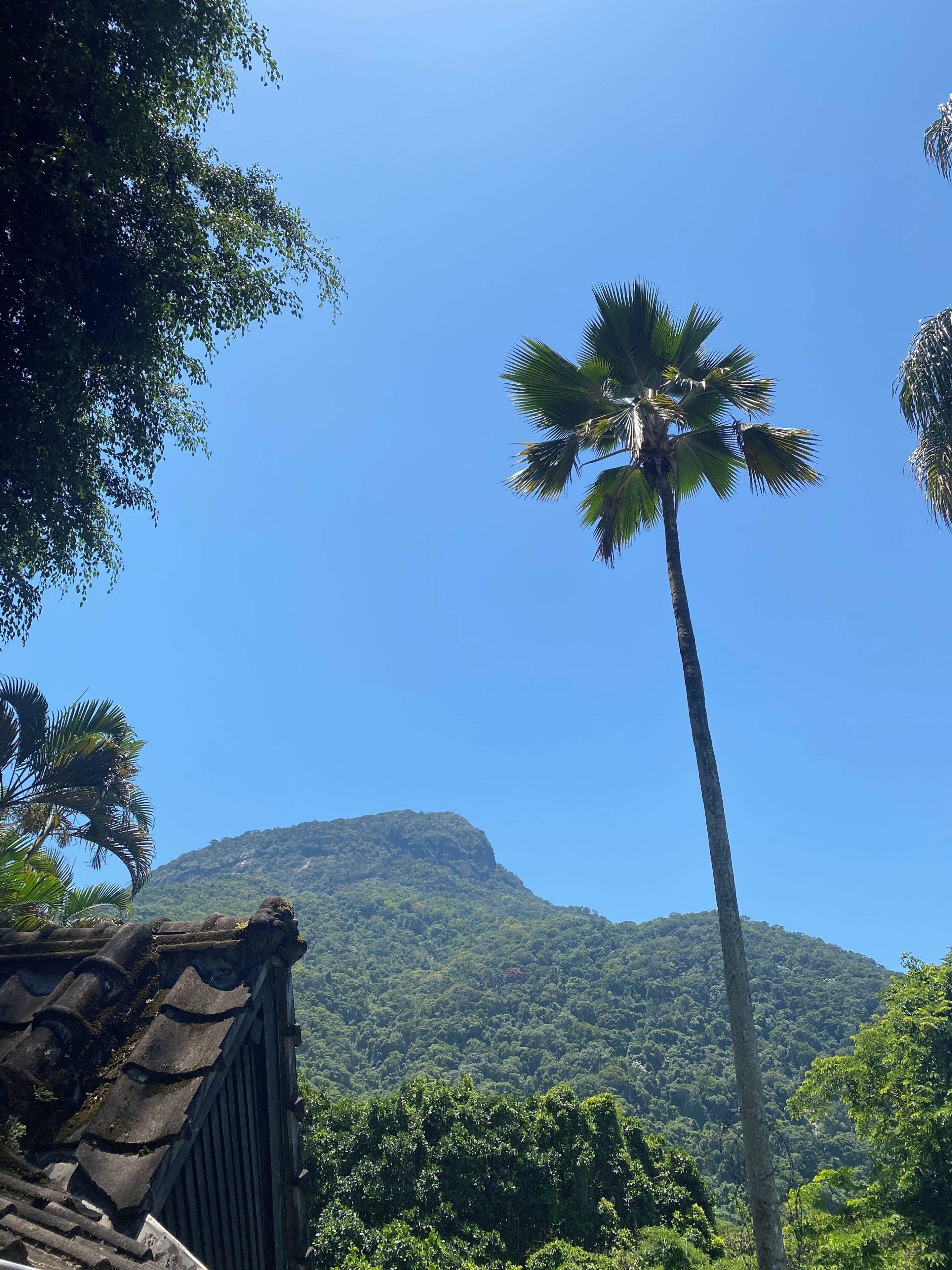 Foto - Casa São Conrado