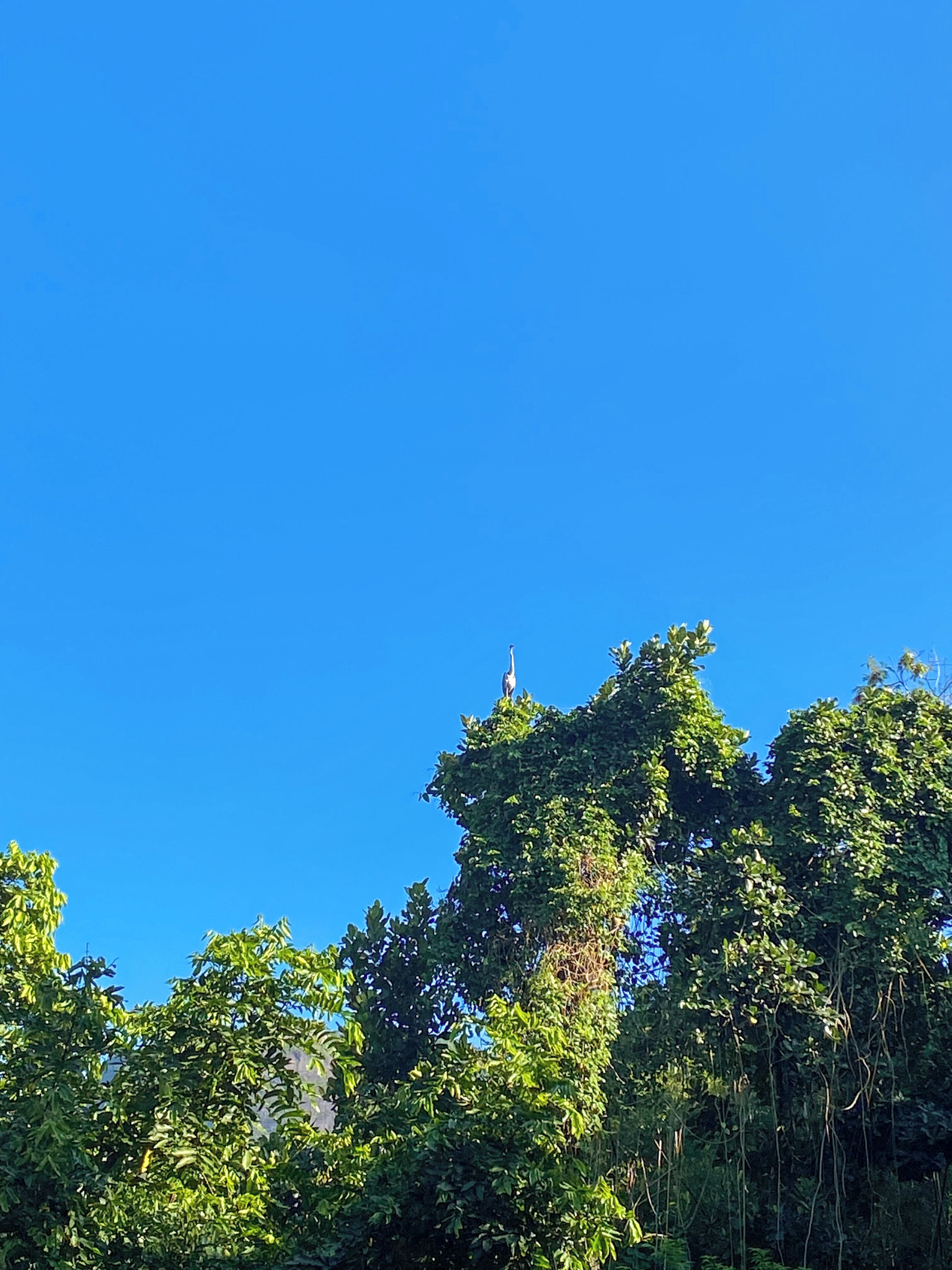 Foto - Casa São Conrado