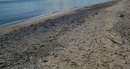 Lake Front Cottages on Private Beach in Port Stanley