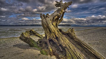 獨棟房屋 | 3 間臥室