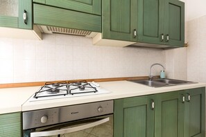 Fridge, stovetop, cookware/dishes/utensils
