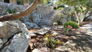 A stone-walled garden with a rustic stone pathway, a large tree, and various plants including cacti and flowering plants. - Villa Agapanto - Trullo Agap con Vista Mare e Giardino Privato (Tricase)