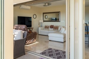 Smart TV, DVD player, books, video library