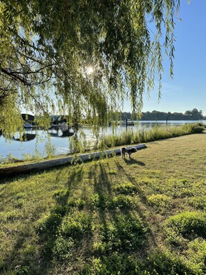 Terrain de l’hébergement 
