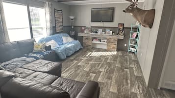 Smart-tv, pejs, dvd-afspiller, bøger