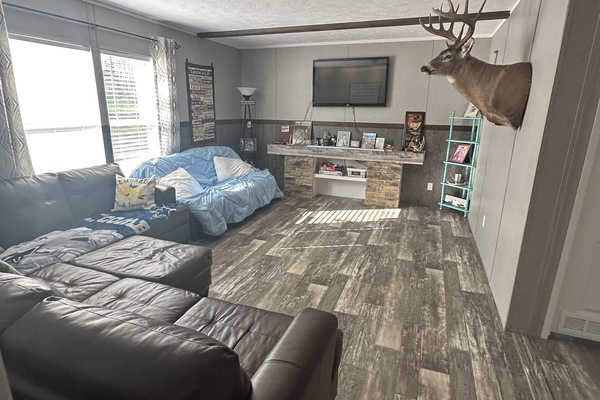 TV connectée, cheminée, lecteur de DVD, livres