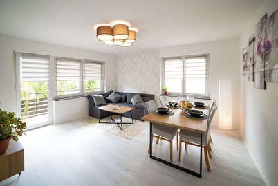 Whole Apartment 'Merlion' in Königshofen, along the Romantic Route Germany! WiFi