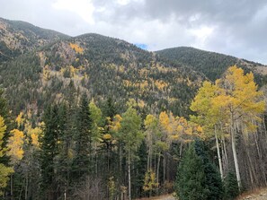 Yellow Aspen Foliage - Backcountry Haven at the Snow Bear at Taos Ski Valley (Taos Ski Valley)