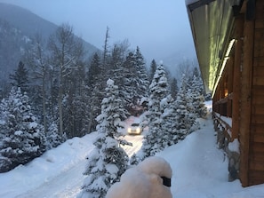 Property grounds - Cozy Cabin on the Slopes (Taos Ski Valley)