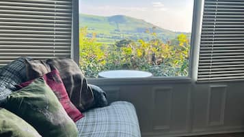 Smart TV, fireplace, table tennis, books