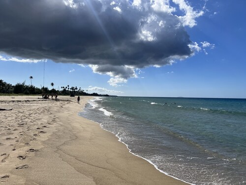Surfers Pair A Dice!