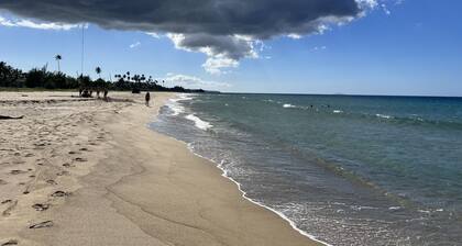 Surfers Pair A Dice!