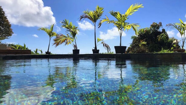 A clear pool with reflections of palm trees and a blue sky. - F3 Hibiscus - vue mer - Piscine Chauffée - 9 min de la mer (La Trinité)
