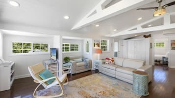 Älytelevisio, takka