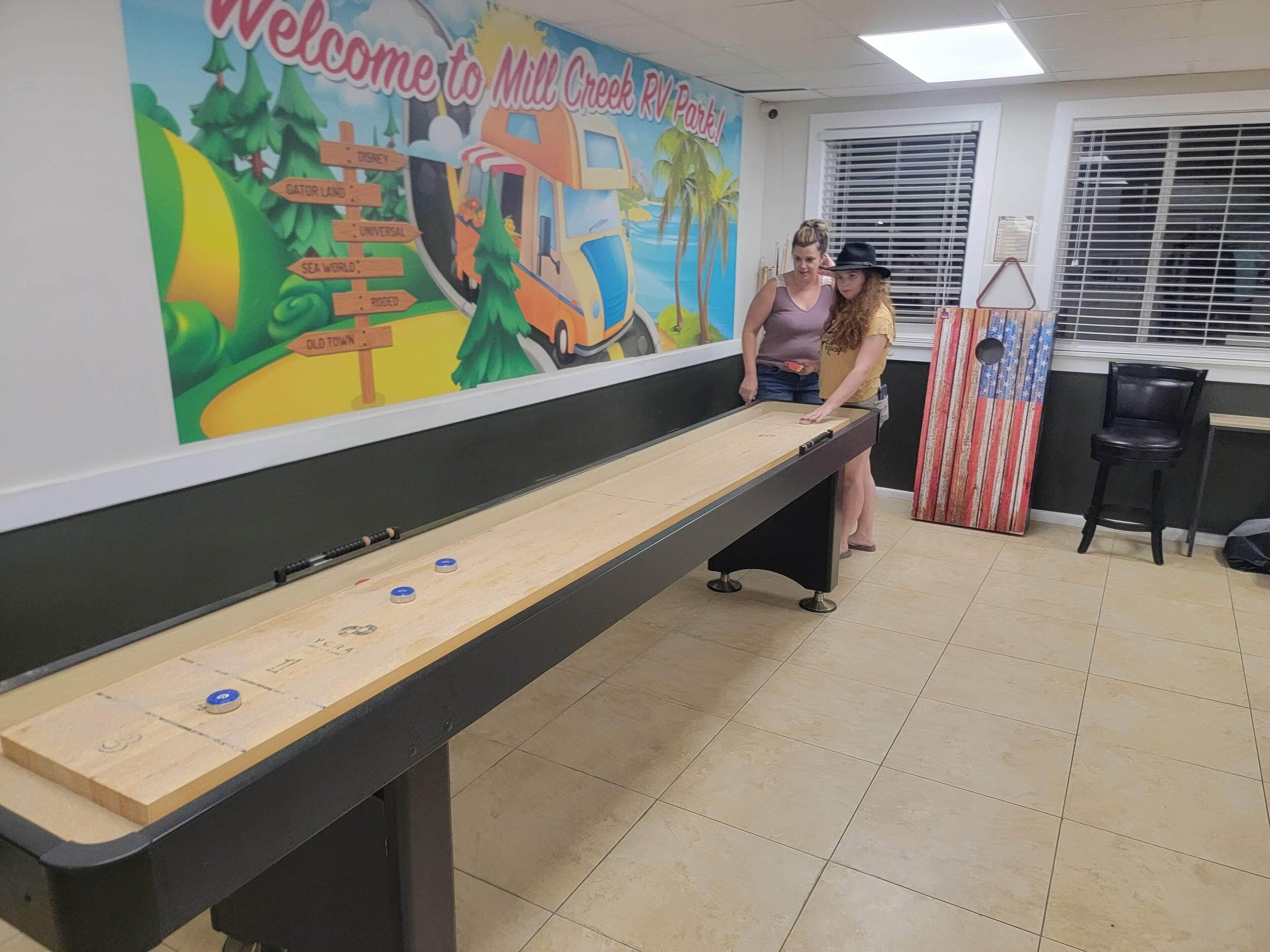 A shuffleboard table in a room with a mural depicting a theme park.