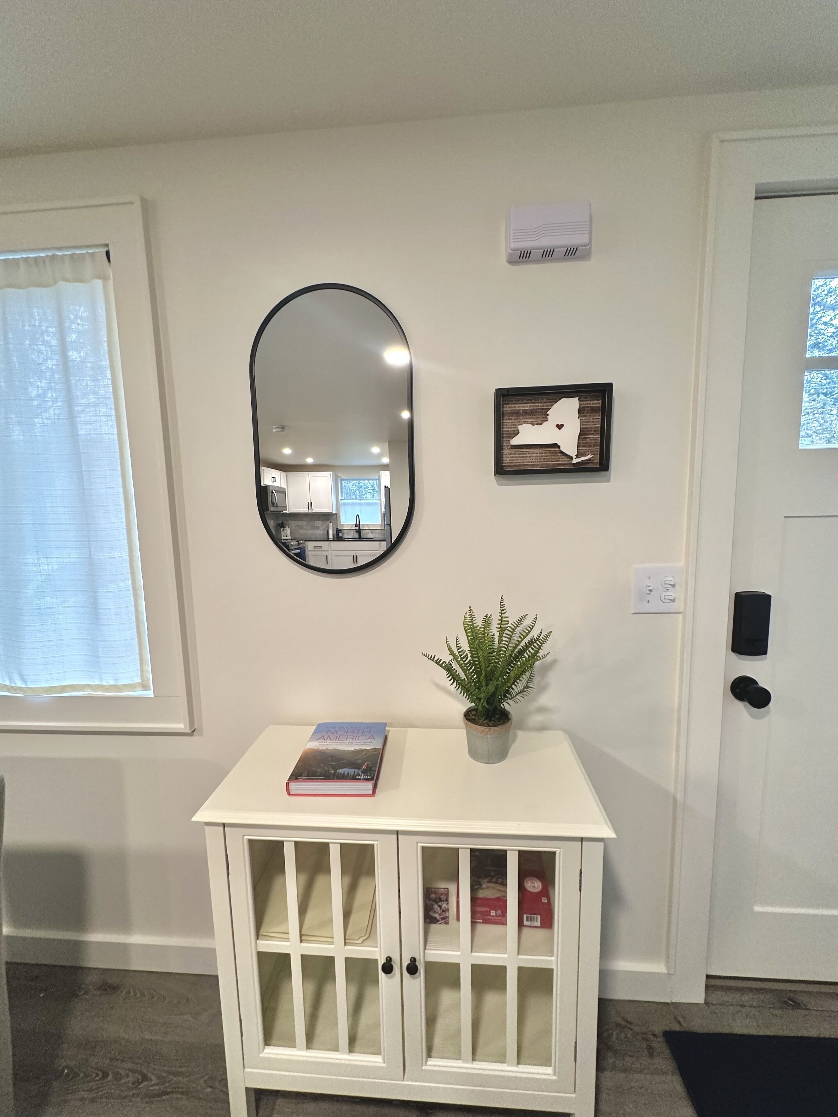 Un meuble blanc avec des portes en verre, une plante en pot, un tableau encadré et un miroir au mur.