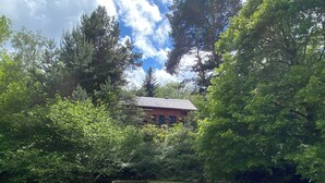 Une maison entourée d’une forêt dense et bordée d’une pelouse.