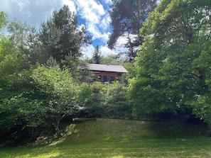 Una casa rodeada de árboles frondosos y un área con césped.