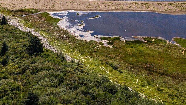 A coastal landscape with a beach, a river or stream, and a forested area. - Dune Buggy Condo in Ocean Shores (Ocean Shores)