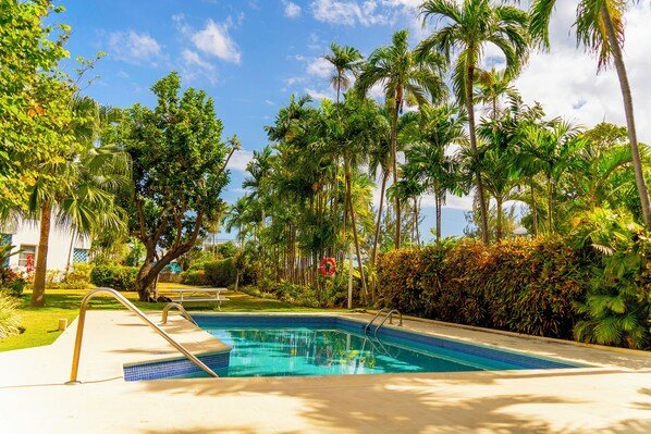 A swimming pool surrounded by lush greenery and palm trees.