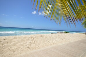 A beach with a wooden walkway and palm trees.