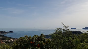 Zimmer | Terrasse/Patio