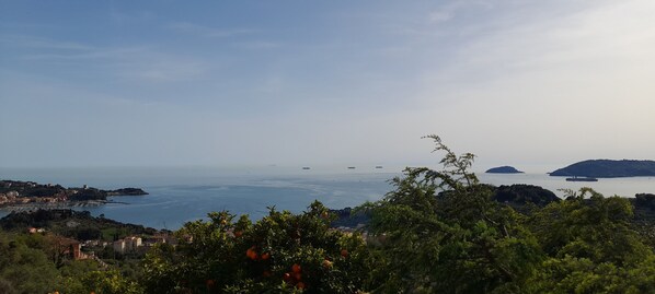 Room | Terrace/patio