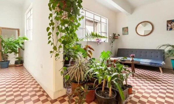 Relax in a spacious living area with a comfortable sofa and potted plants.
