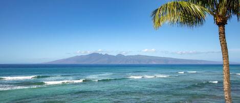 Condo (2 Bedrooms) | Front of property