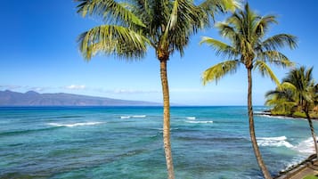 Condo (2 Bedrooms) | View from room