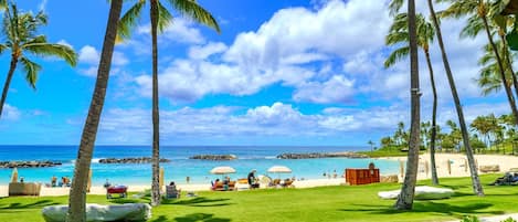 Condo (2 Bedrooms) | Beach | On the beach, white sand