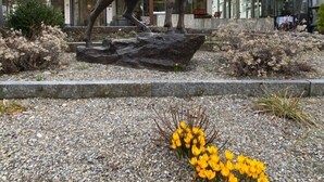 Escultura d'un animal bovat davant d'un edifici amb un cartell que diu "Carlton-Europe".