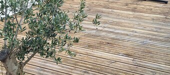 Maison Paisible Dans les Hauteurs de Millau