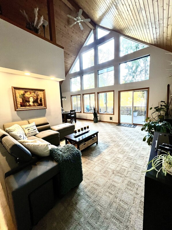 Smart TV, fireplace, DVD player, books