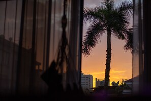 Una palmera silueteada contra un atardecer, vista a través de una ventana con persianas verticales.