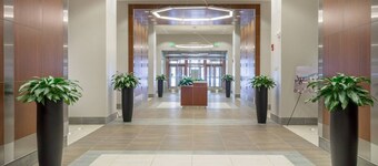 Luxurious Sibley Square Penthouse Level Apartment