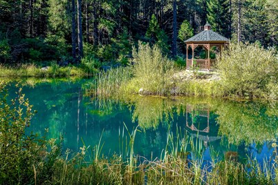 Dog-friendly home on 200 acres with mountain view, fishing ponds & river access
