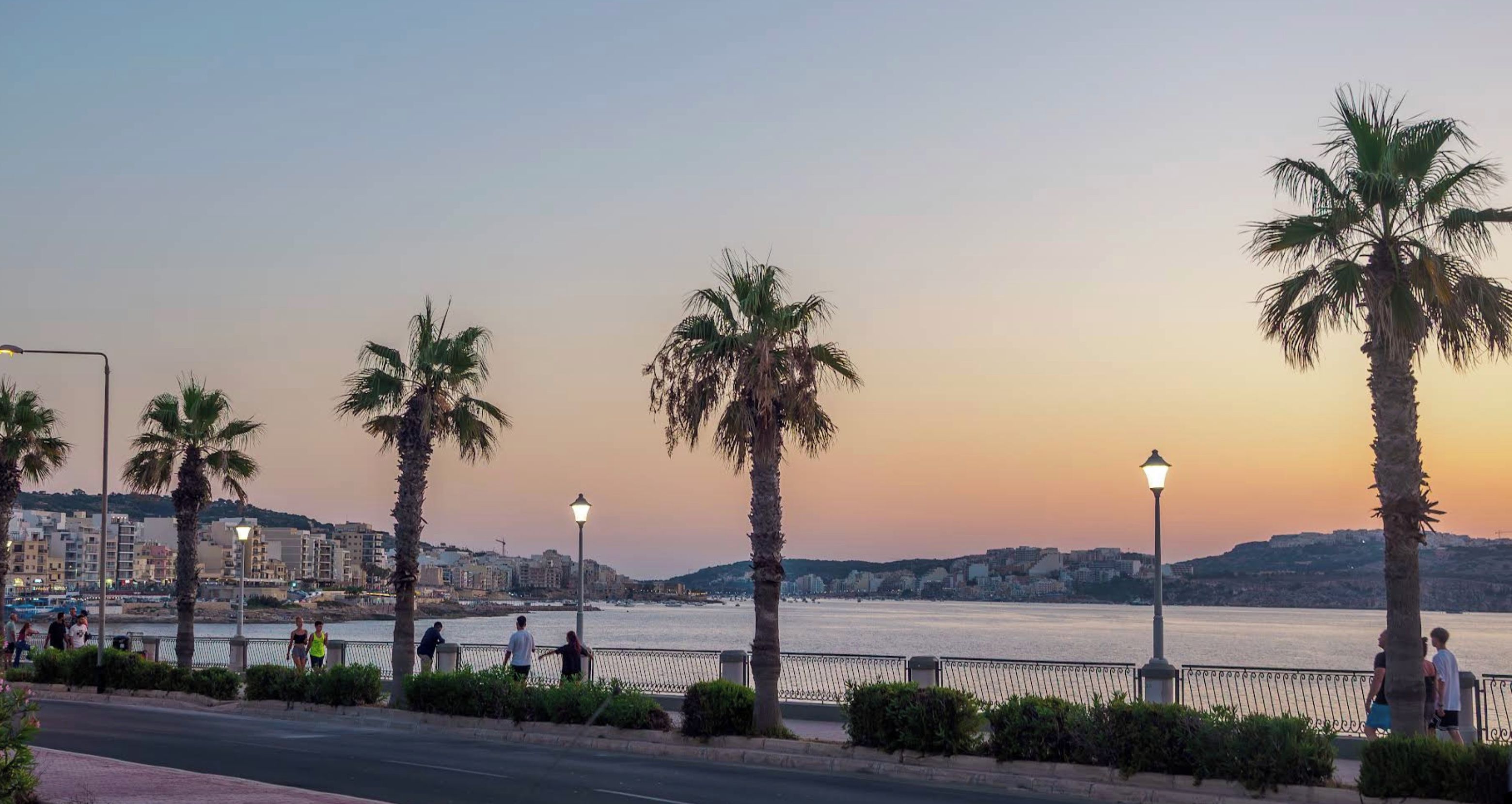 Une promenade en bord de mer, bordée de palmiers, avec une vue sur la ville en arrière-plan.