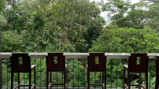 Un balcon avec quatre chaises en bois et une table blanche, donnant sur une forêt verdoyante et luxuriante.