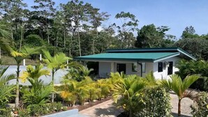Un bâtiment d’un seul étage, doté d’un toit végétalisé, entouré d’une végétation luxuriante et de palmiers.