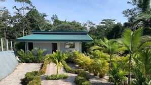 Une maison dotée d’un toit végétalisé, entourée d’un jardin où poussent différentes espèces de plantes, et bordée d’un chemin pavé.