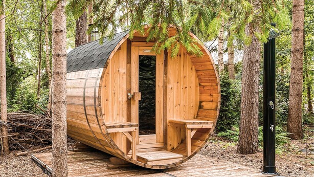 Una cabaña de madera con una puerta y escalones, rodeada de árboles.