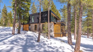 A modern cabin surrounded by tall pine trees in a snowy landscape.