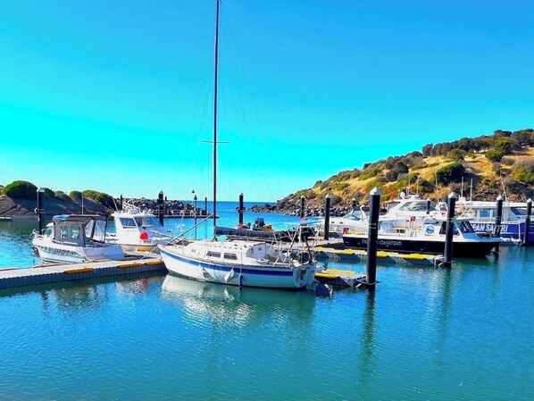 Marina