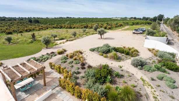 A landscaped outdoor area with a pergola, seating, and a variety of shrubs and plants. - Quinta da Janela Azul - Limão (Tavira)