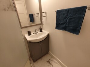 Shower, hair dryer, bidet, towels