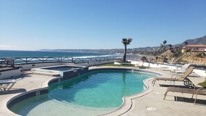 A swimming pool with a curved design, surrounded by lounge chairs and a palm tree.