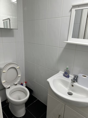Bathroom features a toilet, sink, and mirror, with a shelf for essentials.